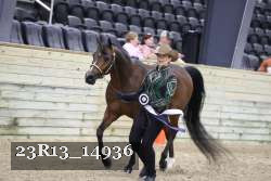 23R13_14936 thumbnail
