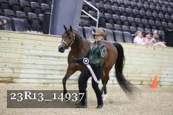 23R13_14937 thumbnail