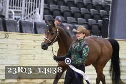23R13_14938 thumbnail