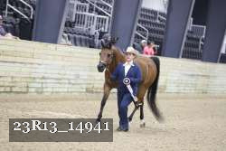 23R13_14941 thumbnail