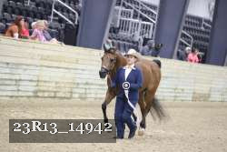 23R13_14942 thumbnail