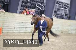 23R13_14943 thumbnail