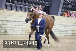 23R13_14945 thumbnail