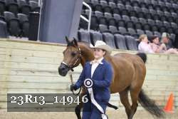 23R13_14946 thumbnail