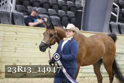 23R13_14947 thumbnail