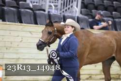 23R13_14948 thumbnail