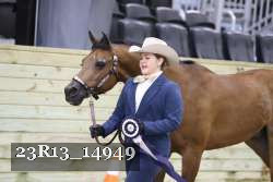 23R13_14949 thumbnail