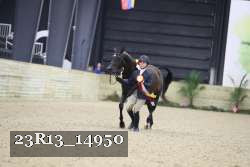 23R13_14950 thumbnail