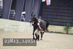 23R13_14951 thumbnail