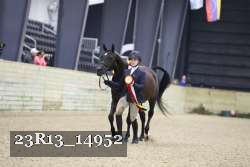 23R13_14952 thumbnail