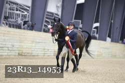 23R13_14953 thumbnail
