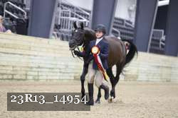 23R13_14954 thumbnail