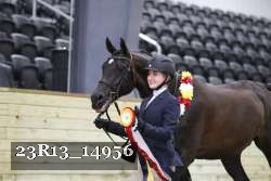 23R13_14956 thumbnail