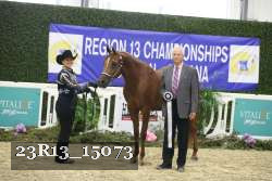 23R13_15073 thumbnail