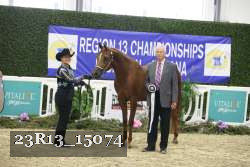 23R13_15074 thumbnail