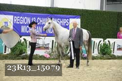 23R13_15079 thumbnail