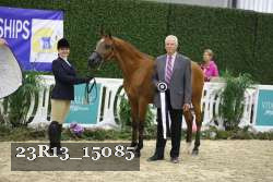 23R13_15085 thumbnail