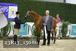 23R13_15086 thumbnail
