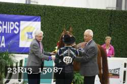 23R13_15087 thumbnail