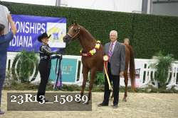 23R13_15089 thumbnail
