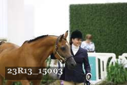 23R13_15093 thumbnail