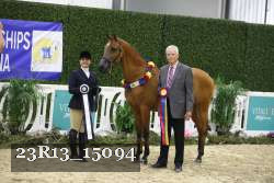 23R13_15094 thumbnail