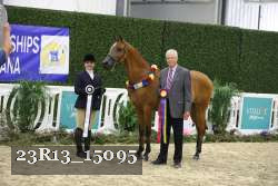 23R13_15095 thumbnail
