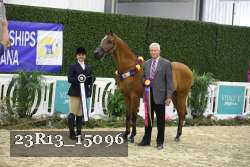 23R13_15096 thumbnail