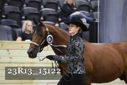 23R13_15122 thumbnail