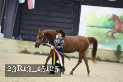 23R13_15125 thumbnail