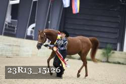 23R13_15126 thumbnail