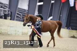 23R13_15127 thumbnail