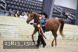 23R13_15128 thumbnail