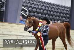 23R13_15129 thumbnail