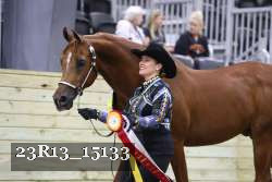23R13_15133 thumbnail