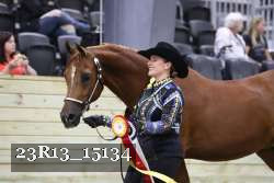 23R13_15134 thumbnail