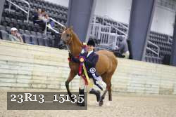 23R13_15135 thumbnail