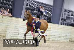 23R13_15136 thumbnail