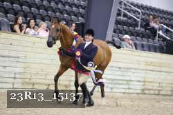 23R13_15137 thumbnail