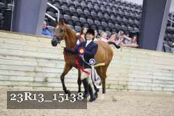 23R13_15138 thumbnail