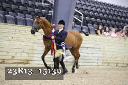 23R13_15139 thumbnail