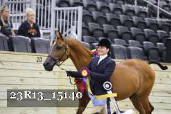 23R13_15140 thumbnail