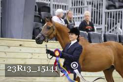 23R13_15141 thumbnail