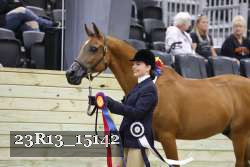 23R13_15142 thumbnail