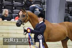 23R13_15143 thumbnail