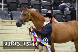 23R13_15144 thumbnail