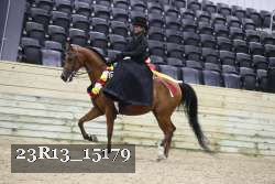 23R13_15179 thumbnail