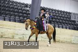 23R13_15193 thumbnail