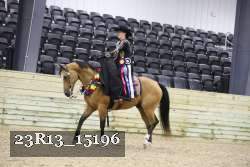 23R13_15196 thumbnail