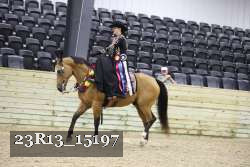 23R13_15197 thumbnail
